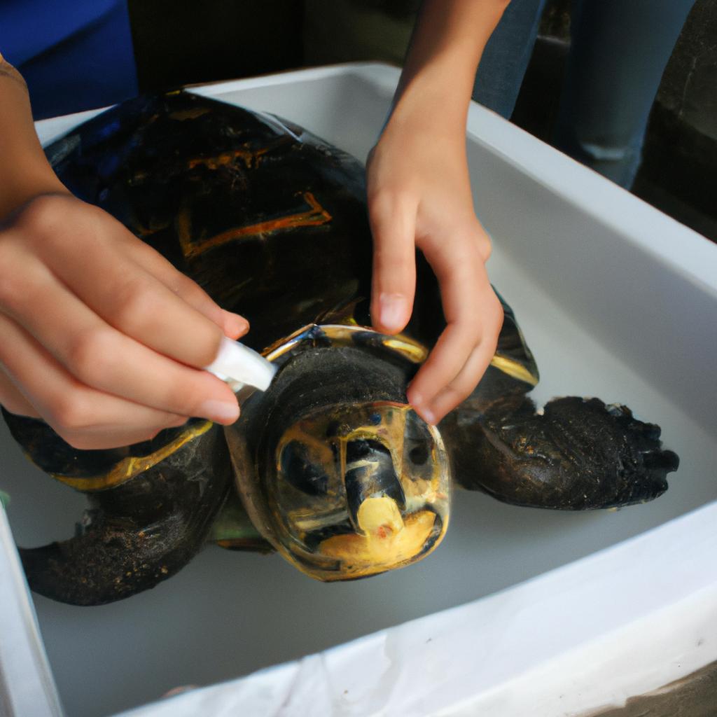 Person examining turtle respiratory system
